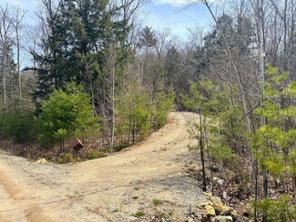 Lot 44-4 Bog Rd, Hillsborough, NH 03244