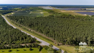 County Highway 0605, Defuniak Springs, FL 32433