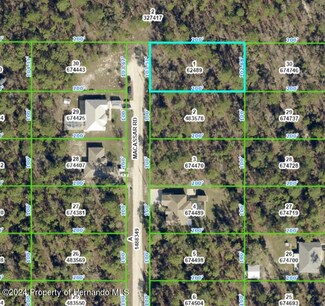 0 MacAssar Rd, Weeki Wachee, FL 34614