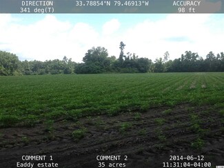 35 ac Shine Rd, Johnsonville, SC 29555