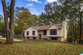 5201 Old Mill Cove, Indian Springs Village, AL 35124