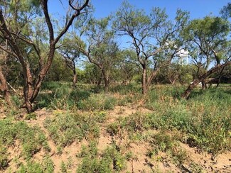 5 Griffin, Albany, TX 76430