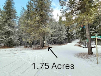 NNA Bear Claw Rd, Clark Fork, ID 83811