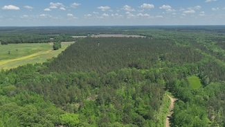 County Road 409, Rienzi, MS 38865