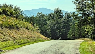 313 Willow Top Ln, Lake Lure, NC 28746