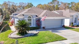 5237 Gato Del Sol Cir, Wesley Chapel, FL 33544