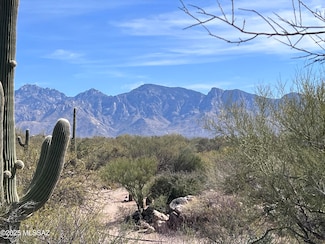 14521 N Rocky Highlands Dr Unit 215, Oro Valley, AZ 85755