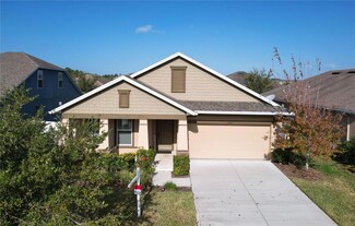 32527 Harmony Oaks Dr, Wesley Chapel, FL 33545