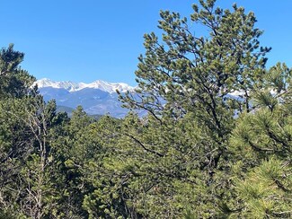 1834 Texas Creek Ln, Cotopaxi, CO 81223