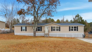 233 Peeler Rd, Gaston, SC 29053