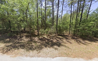 0 SW 201st Cir, Dunnellon, FL 34431