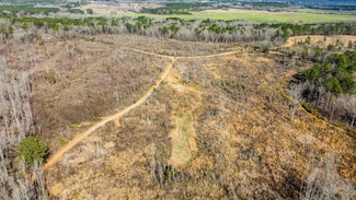 +/-68 Acres Unit Holmes County MS, Lexington, MS 39192