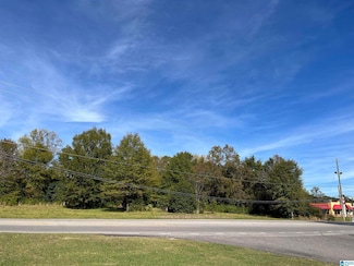 2263 Mount Olive Rd, Gardendale, AL 35071