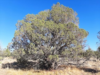 0 SE Tillamook Loop Unit 220209458, Prineville, OR 97754