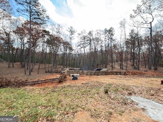 67 Hill Top, Mineral Bluff, GA 30559