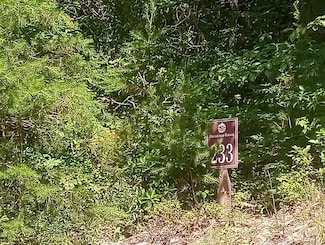 LT 233 Stone Cliff Dr, Ellijay, GA 30536