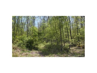 0 N Sycamore Rd, Taswell, IN 47175