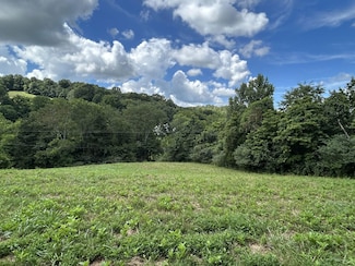 1 Chicken Creek Rd, Pulaski, TN 38478