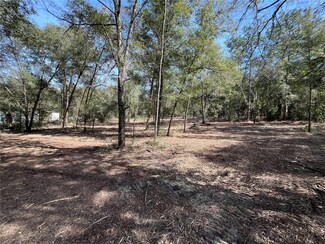 0 Webster St, Interlachen, FL 32148