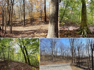 7447 Township Road 215a Unit (Tract 6 at Shawnee, Corning, OH 43730