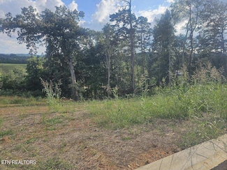 Lot 290 Inlet Cove, Morristown, TN 37814