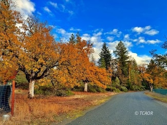 231 Oliva Dr, Hayfork, CA 96041