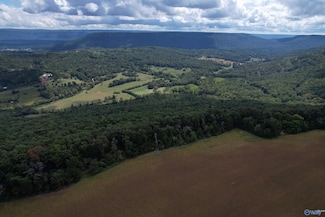 7.48 AC County Road 155, Flat Rock, AL 35966