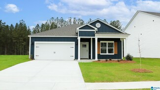 9969 Chelsea Park Trail, Chelsea, AL 35043