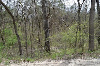 Lot 26 Poplar Rd, Merriam Woods, MO 65740