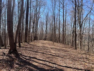 0 Jennings Creek Hwy Unit 23181050, Gainesboro, TN 38562