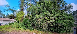 1022 Alfreda Ave, Lehigh Acres, FL 33971