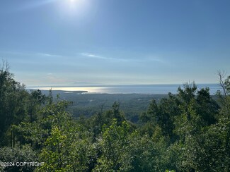 L7 Thornton St, Anchorage, AK 99567