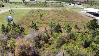Lot 31 Goldenrod Ln, Wewahitchka, FL 32465