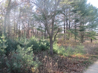 Lot 2 Eagle Rest Ct, Montello, WI 53949