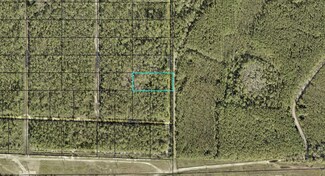 X Amos Ave, Hastings, FL 32145