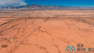 0 Chiricahua Ln, Animas, NM 88020