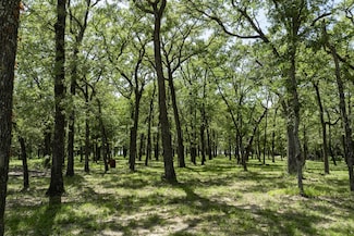 Lot 71 Anchor Point, Quinlan, TX 75474