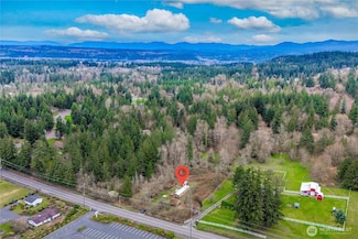 21215 Orting Kapowsin Hwy E, Graham, WA 98338