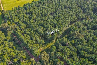 Tract 21 County Road 4224, Frankston, TX 75763