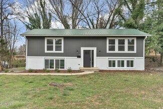 1314 Lynnwood Dr, Johnson City, TN 37601
