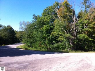 xxx Figg Rd, Frankfort, MI 49635