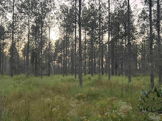 LOT 5 Wallace Lake Rd, Pace, FL 32570