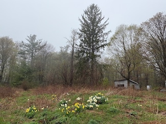 63 Sugar Hill Rd, Williamsburg, MA 01096