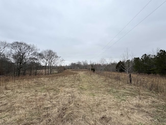 493 Rascal Town Rd, Loretto, TN 38469