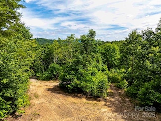 27 Fig Tree Ln Unit Lot 7, Asheville, NC 28803