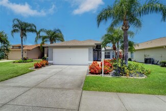 1625 Westerham Loop, Trinity, FL 34655