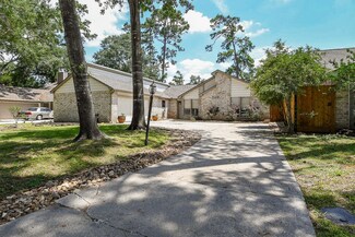 19522 Dianeshire Dr, Spring, TX 77388