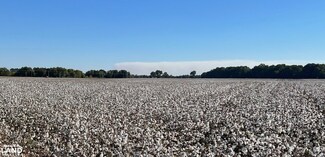 7200 U S 49, Holly Grove, AR 72069