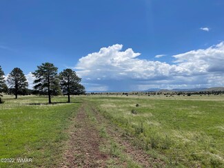 Tract 1 County Road N1334, Greer, AZ 85927