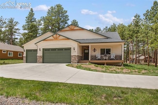 1378 Millstone Ln, Woodland Park, CO 80863